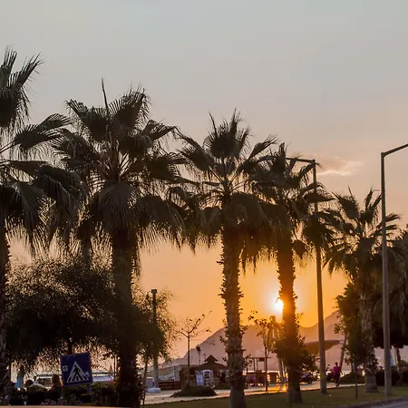 Отель Kleopatra Ada 3*